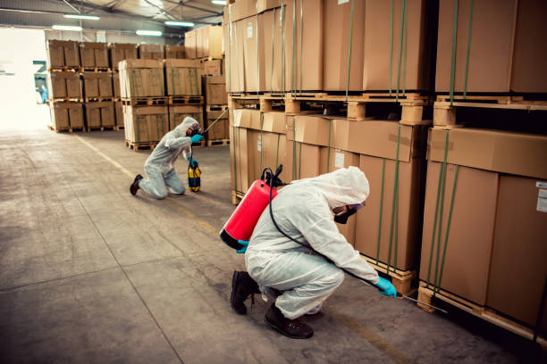 Best Wasp Removal Services  in Maynardville, TN