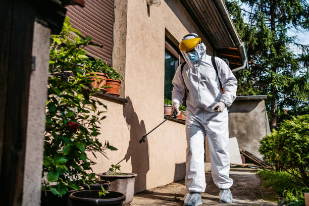 Best Affordable Pest Control Services  in Maynardville, TN