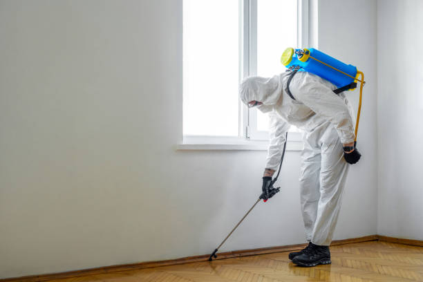 Best Mosquito Control Services  in Maynardville, TN