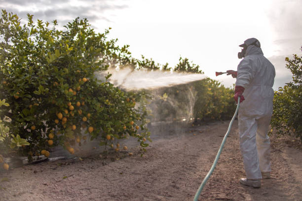 Pest Control Cost in Maynardville, TN