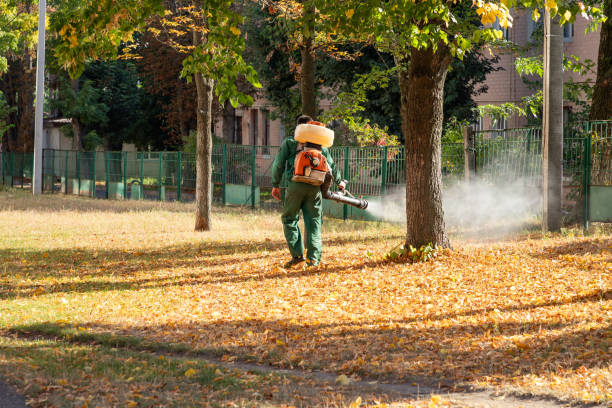 Best Local Pest Control Services  in Maynardville, TN