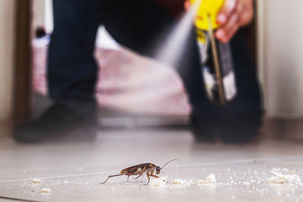 Trusted Maynardville, TN Pest Control Experts
