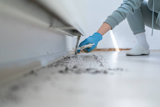 Best Wildlife Control Services  in Maynardville, TN